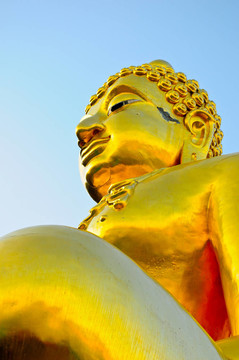 Golden Buddha的地位