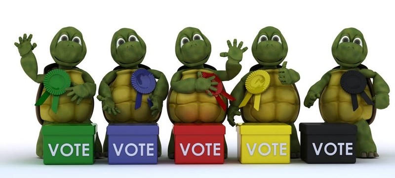 烏龜?shù)倪x票在選舉拉票助選