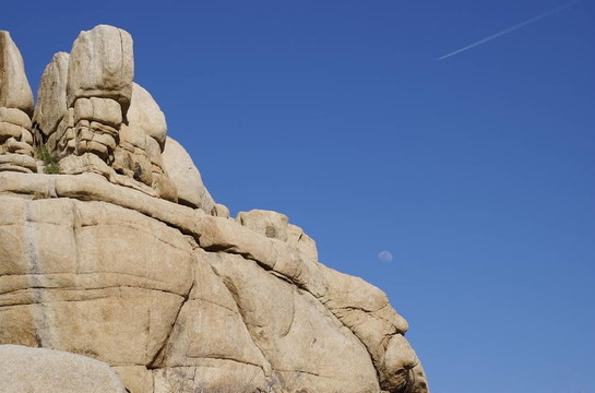 巖層（Joshua Tree）
