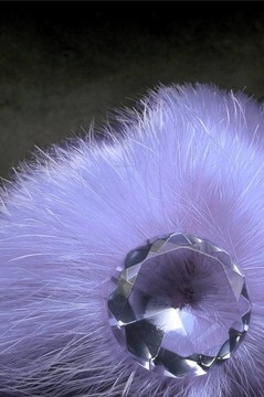 抽象的花朵。