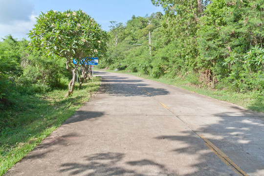 林中混凝土路