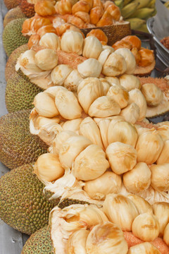 菠蘿菠蘿蜜屬