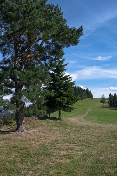 Pieniny山觀