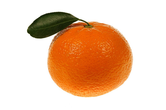 Tangerine夜店特寫