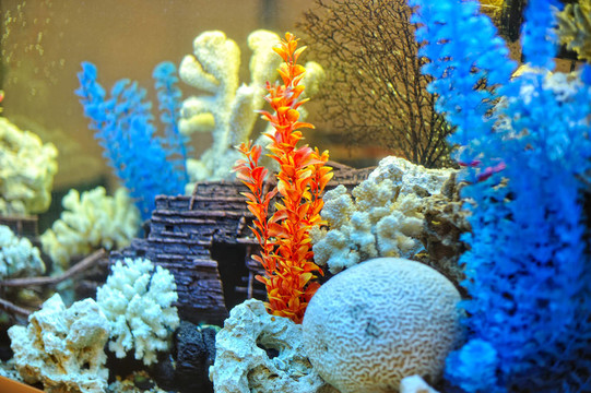 在水族館