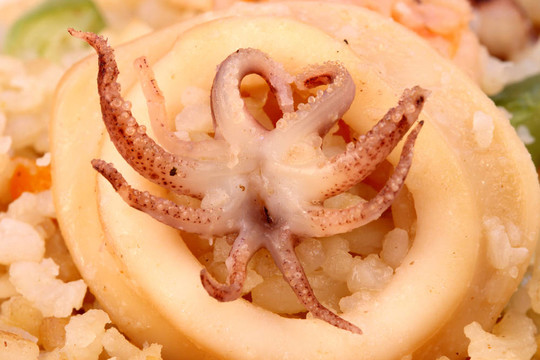 魷魚飯