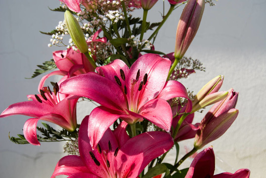 粉紅百合花束