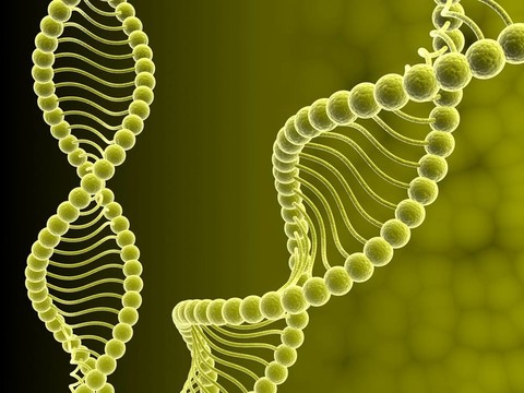 DNA