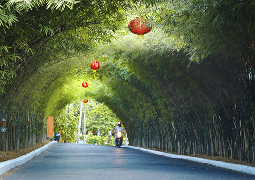 綠燈籠配中國(guó)紅燈籠