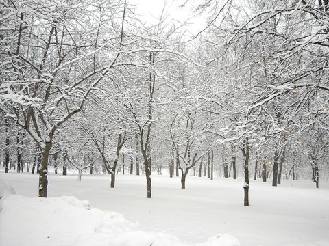 降雪后