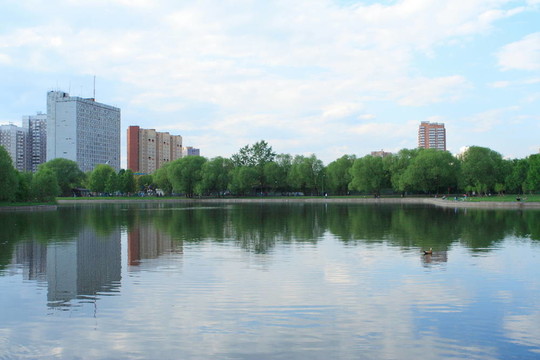 城市公園的夏天