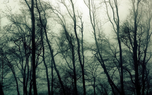 abandomned