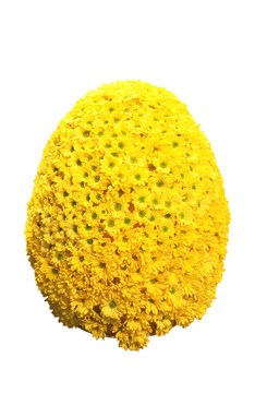 雛菊花束