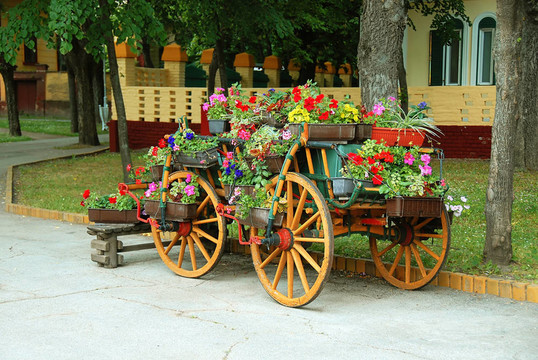 用花盆裝飾車(chē)