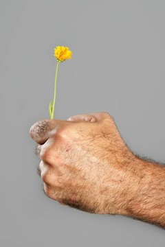 毛人手花的概念與對比