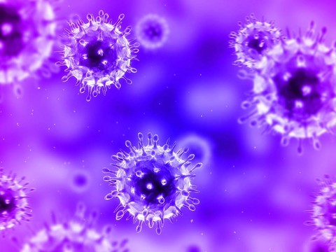 甲型H1N1流感病毒