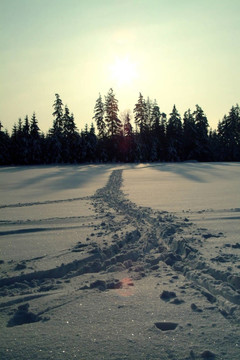 越野滑雪道