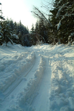 越野滑雪道