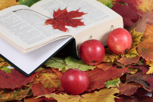 秋天；書和紅蘋果