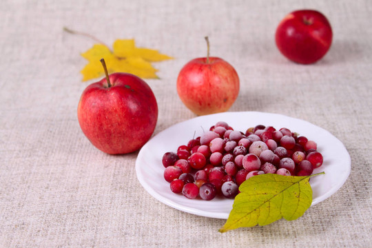 Cowberry和紅蘋(píng)果