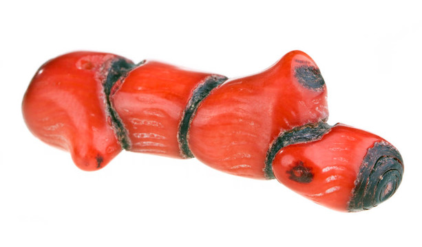紅珊瑚
