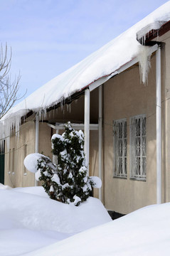 降雪后