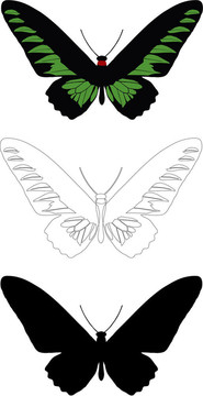 蝴蝶