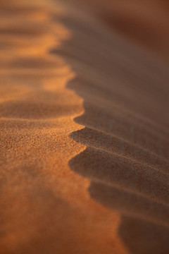 特寫Rippled Sand Dune