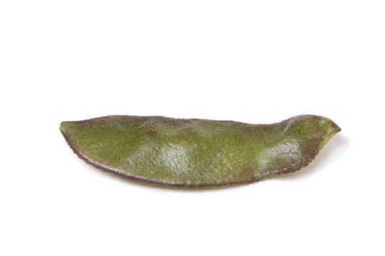 印度豆