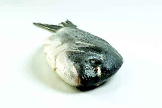 鯛魚從希臘烹飪前的準(zhǔn)備