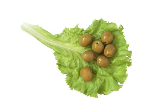 橄欖生菜