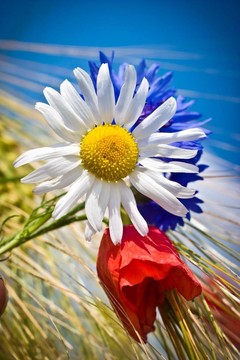 花