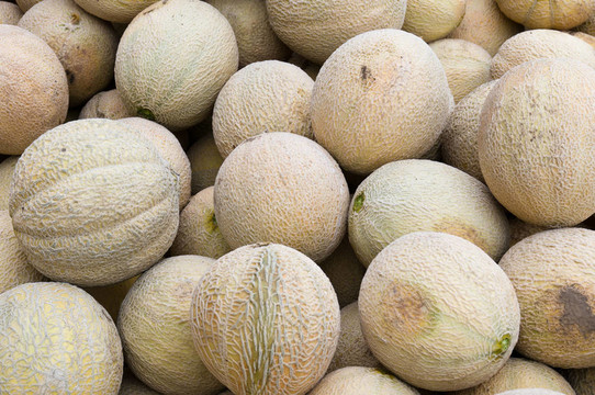 新鮮的cantalopes在市場出售的準(zhǔn)備