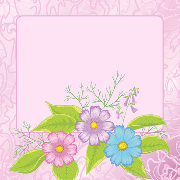 背景；花朵；宇宙與框架