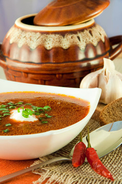 Borsch；從甜菜、白菜番茄湯。民族美食