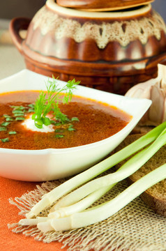 Borsch；從甜菜、白菜番茄湯。洋蔥大蒜