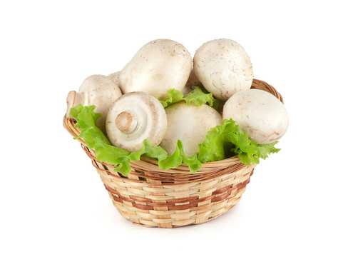 籃子里的蘑菇