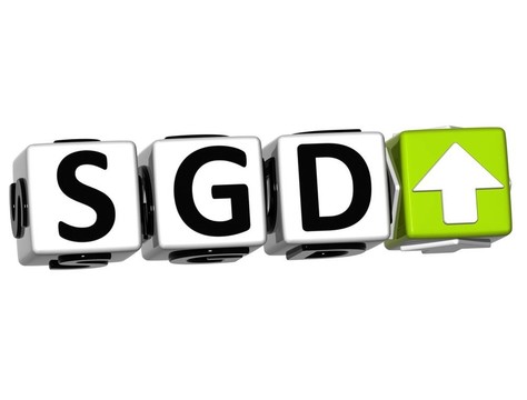 貨幣SGD率概念符號按鈕在白色背景