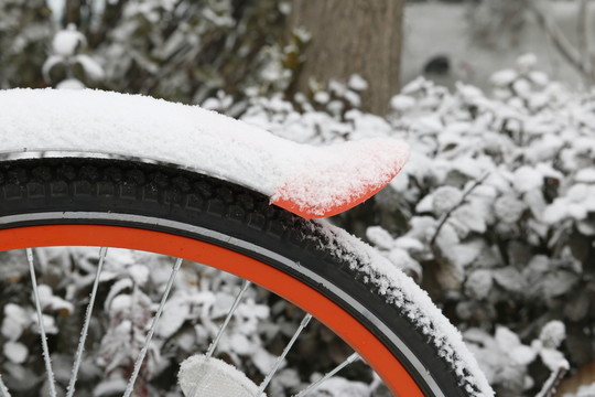 雪中的自行車