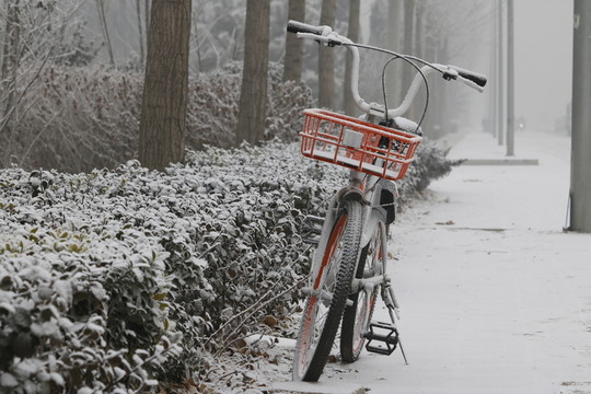 雪中的自行車