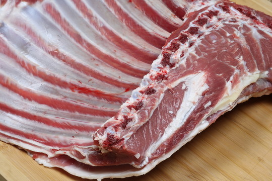 羊肉寧夏鹽池灘羊肉大草原綿羊羯