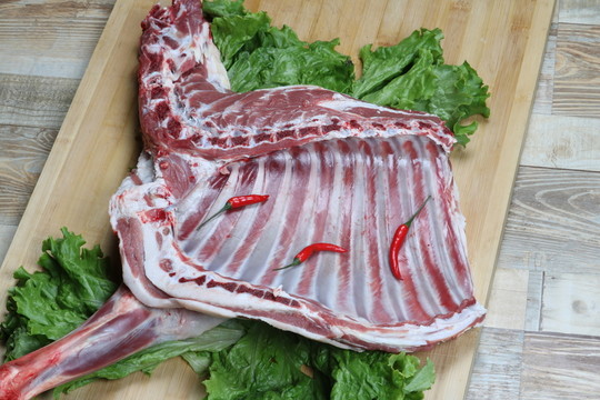 羊肉寧夏鹽池灘羊肉大草原綿羊羯