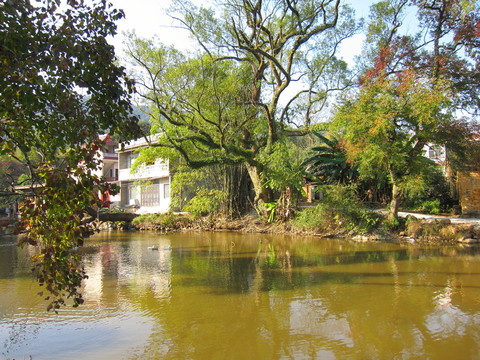 水塘