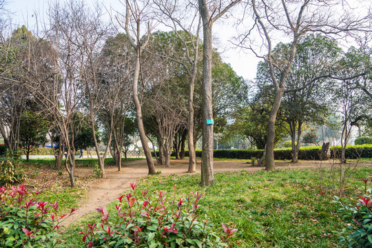 公園小景