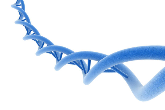 DNA