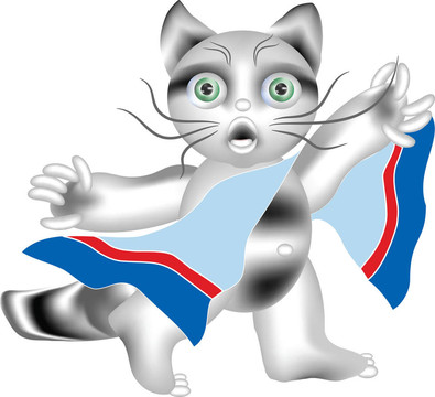 用浴巾Raccoon