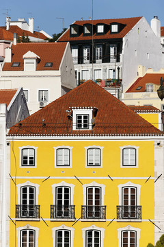 彩色Lisbon