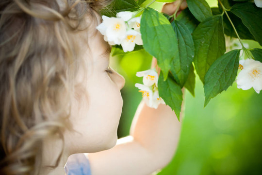 孩子與jasmin flower