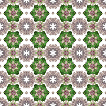 美麗的Lilac Kaleidoscopes
