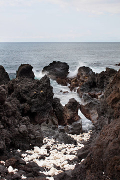 多巖石的海岸